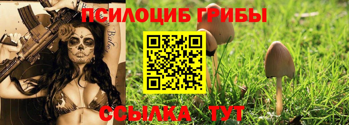 Псилоцибиновые грибы мухоморы Белогорск
