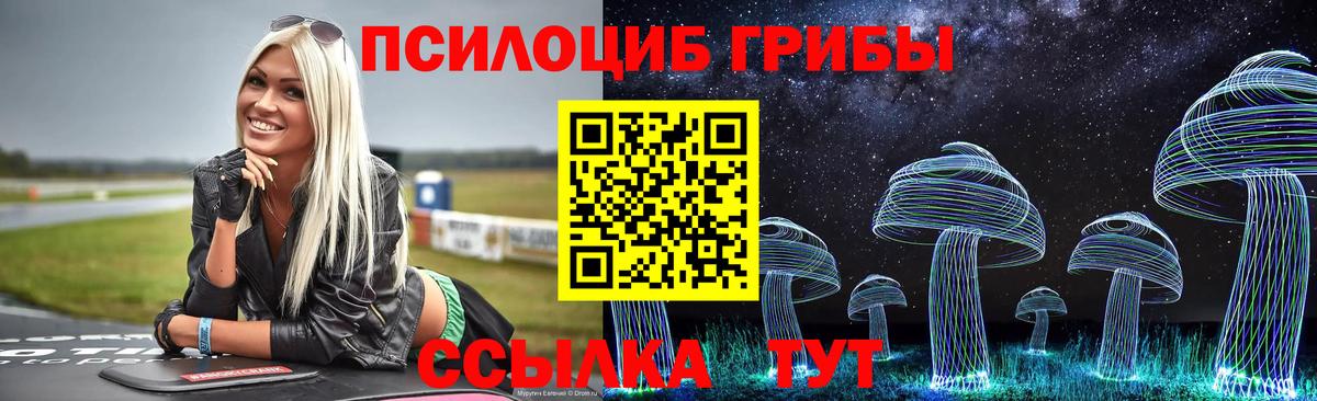 Псилоцибиновые грибы Psilocybe  Галлюциногенные грибы Cubensis  Вход с VPN  Белогорск 